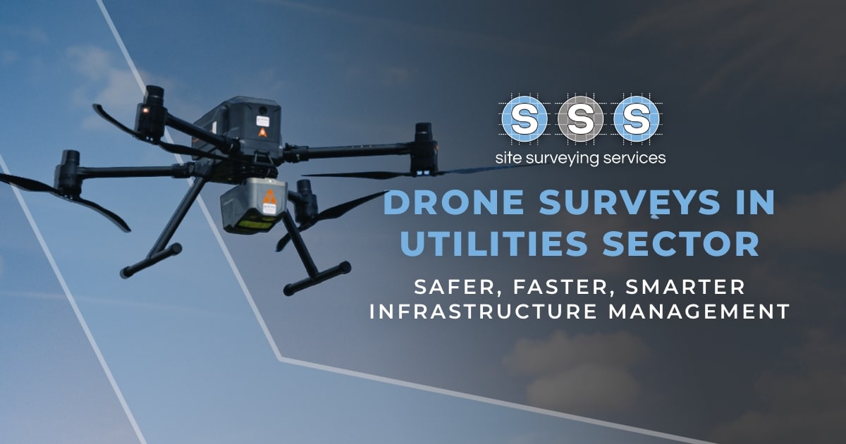 drone survey